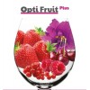 OPTI FRUIT Plus 100 g - Levure sèche révélateur d'arômes Schliessmann